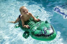 inflatable croc wrestling