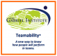 The Gabriel Institute - Creators of Teamability®