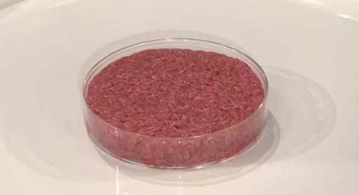 Synthetic (Cultured) Meat Technologies to Reach $19.8 Million in 2027