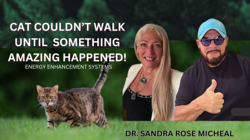Miracle Recovery: 15-Year-Old Cat Finds Mobility with the EESystem™