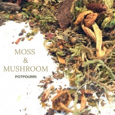 Moss & Mushroom Potpourri by Widdershins.Co