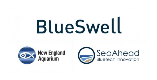 SeaAhead and New England Aquarium Announce the BlueSwell Incubator's First Cohort of Selected Startups