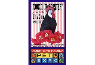 Chico McRooster presents ChaCha McRooster