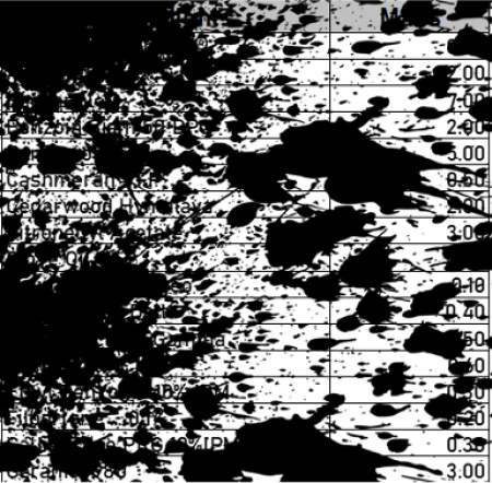 Blurred Formula