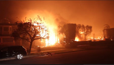 Palisades Fire Los Angeles