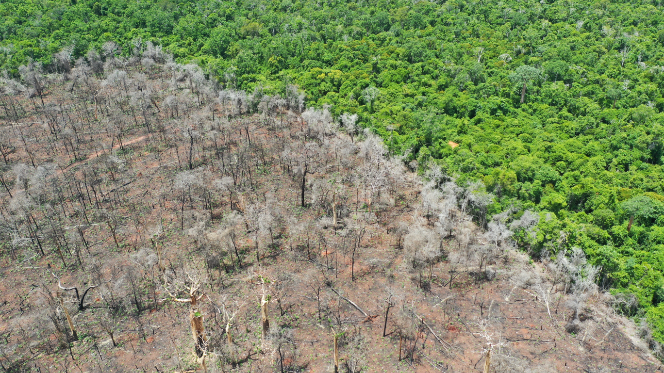 Aerial view of deforestation in Madagascar