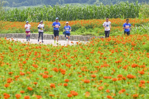 Flower Sea Marathon in Rural China Boosts Economy, Attracts 3,000 Runners