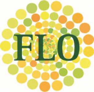 Flo Enterprises