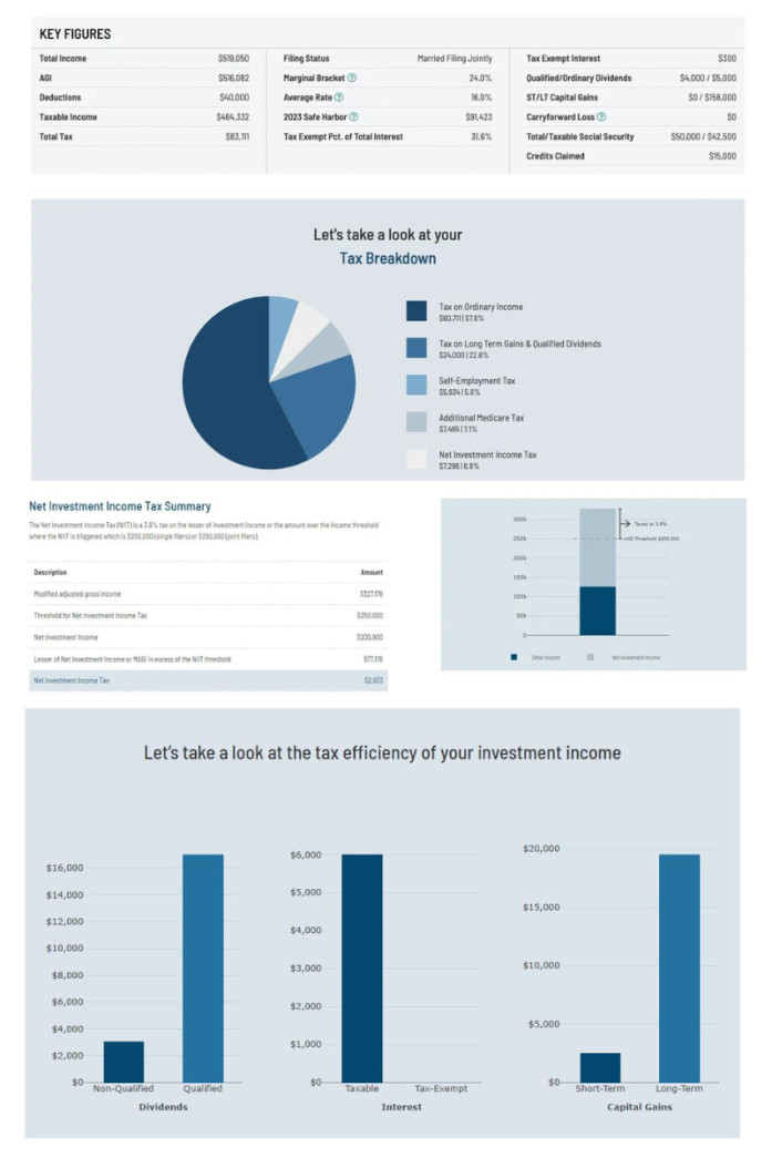 Holistiplan's Tax Report 2.0