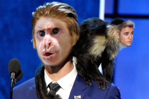 RescueCenter.org Offers Justin Bieber a Free Educational Trip to Costa Rica, Will Name Rehab Wing After Justin if He Doesn't Buy a Monkey