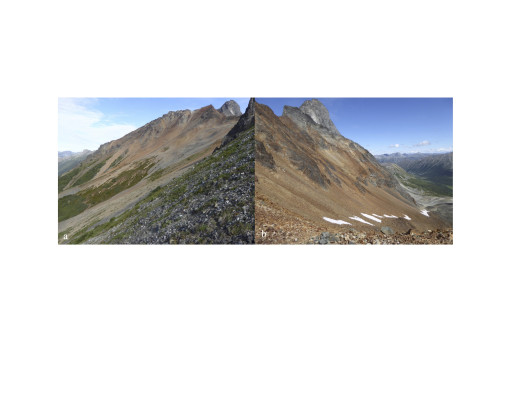 Prospect Ridge Options Castle Copper-Gold Porphyry Project In Toodoggone Mining District Of British Columbia