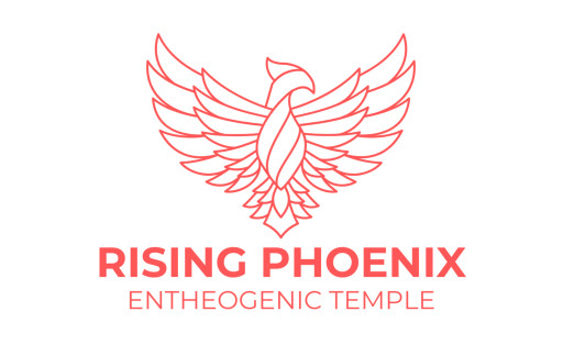 Rising Phoenix Mushroom Church Opens in San Francisco