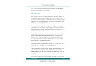 5 Pillars of Success - Sample Page 2