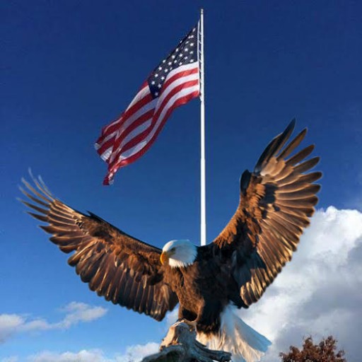 Vietnam Veteran Steve Trammell of Eagle Iron Works to Place His Series of Six Brass Eagle Military Statues for Sale
