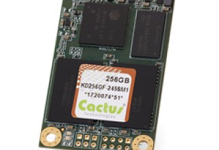 256GB mSATA - 245S pSLC NAND