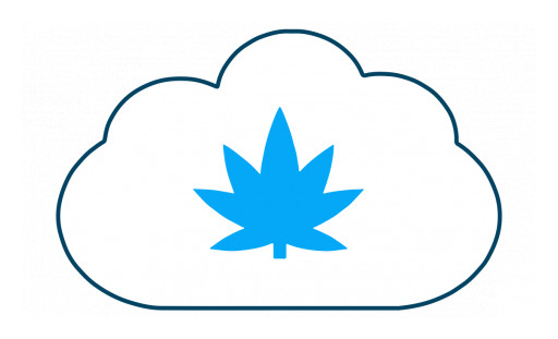 Digitally Transforming Cannabis With Cannabis Cloud Solutions for Salesforce®
