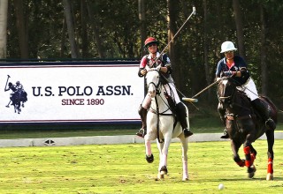 The Queen's Pink Polo Cup 2019