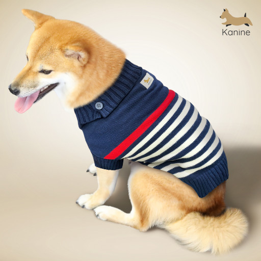 Kanine Group Launches Dog Apparel, Accessories and Home Products With Boss Dog Accessories, Warner Brothers' DC League of Super-Pets and Kanine Brands