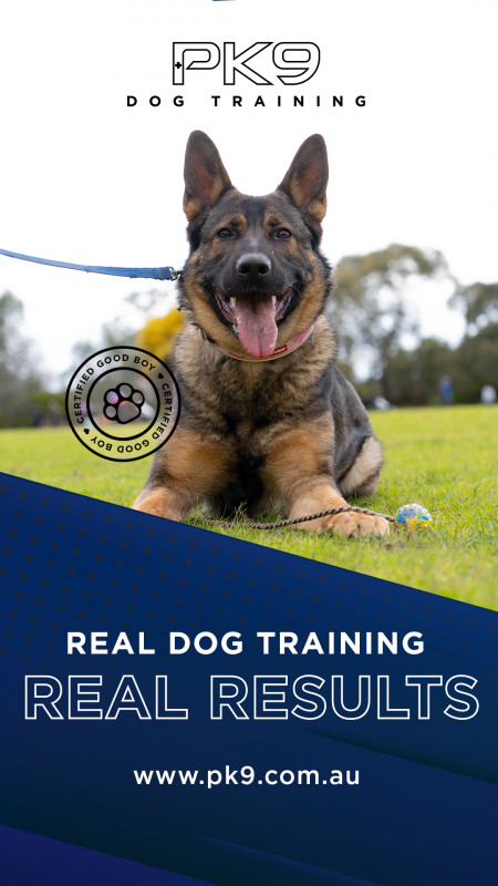 VIP Dog Training Melbourne with Positive K9 Training