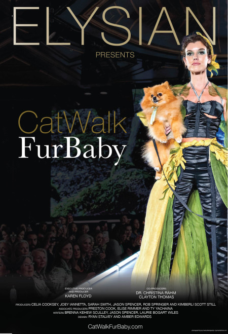 'CatWalk FurBaby' Movie Poster