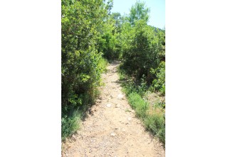 Take a hike in Glenwood Springs