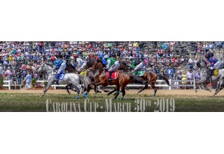 Carolina Cup Horse Race and Soirée in Camden, South Carolina