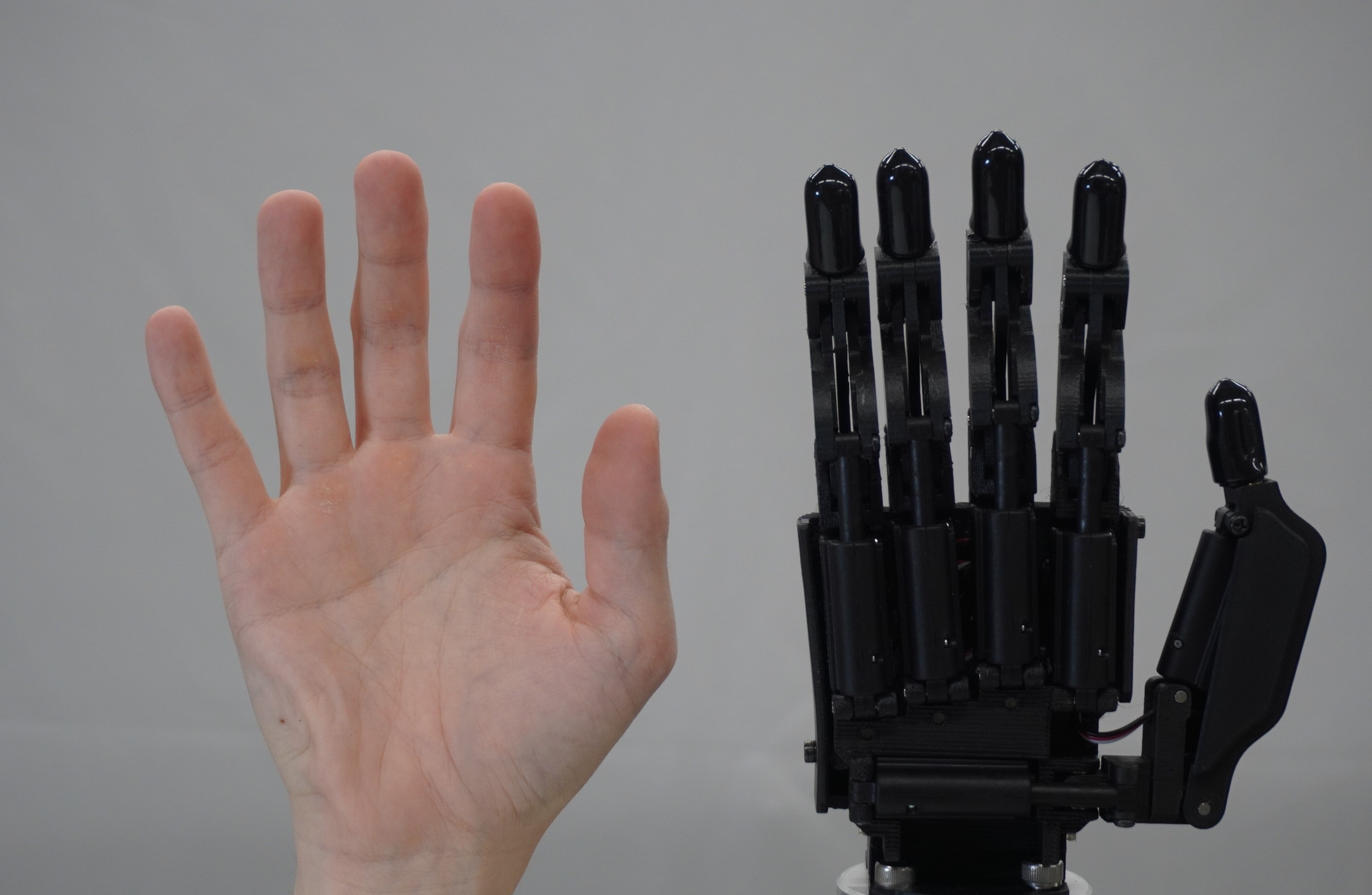 CR-Hand-vs-Human-Hand