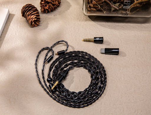 Kiwi Ears x B_Media Collaboration in Sound: Terras Black Edition