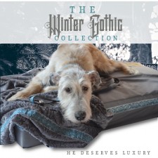 Big Ass Dog Company features new Collection for the Holidays!
