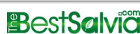 TheBestSalvia