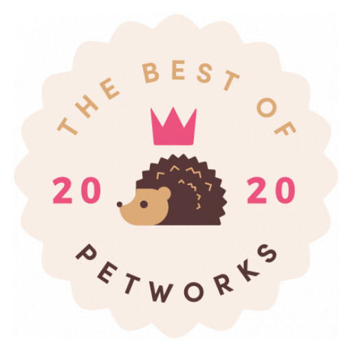 Petworks Reveals Best of 2020 Winners for Top U.S. Pet Care Pros