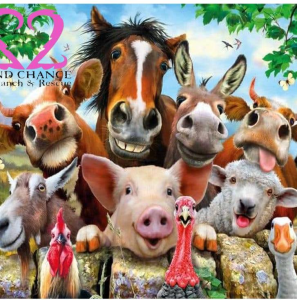 2nd Chance Ranch and Rescue, Inc.