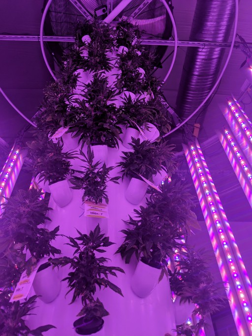 Violet Gro LED Grow Lights Partners With Hyperponic on Their Fully Integrated Vertical Tower Growing System