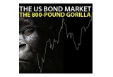 The US Bond Market - the 800-Pound Gorilla