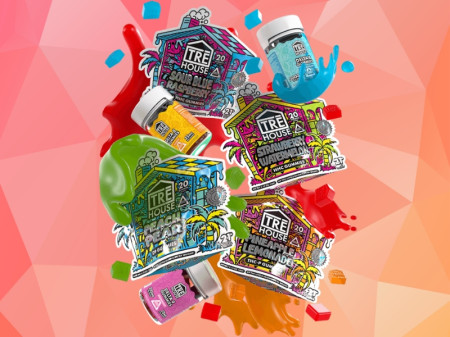 Best THC Gummies 2025