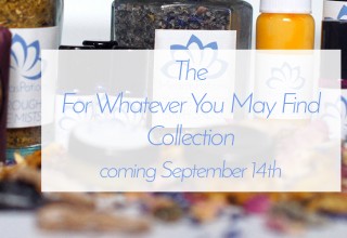 The For Whatever You May Find collection - Mearas Potions