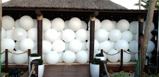 Disappearing Balloon Wall Reveal by TLC Creative Surprises Guests