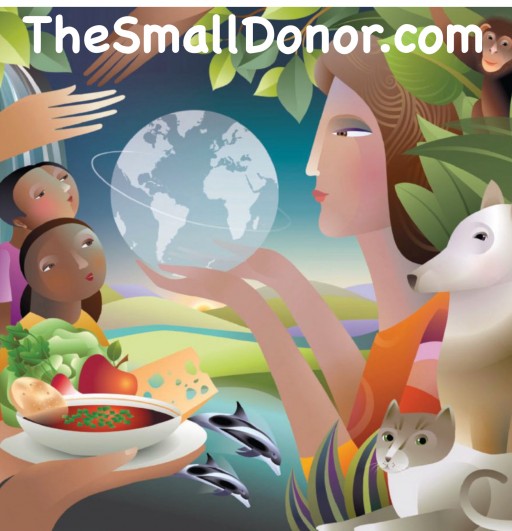 The Good Causes Company Releases TheSmallDonor.com