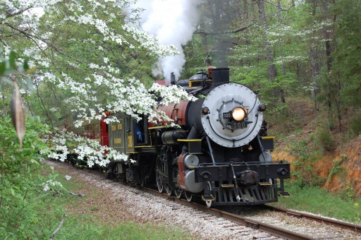 Springtime Arrives at Texas State Railroad