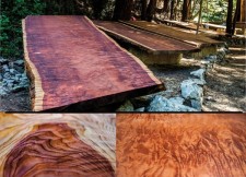 Big Sur Redwood Auction