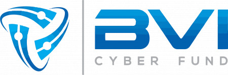 BVI Cyber Fund