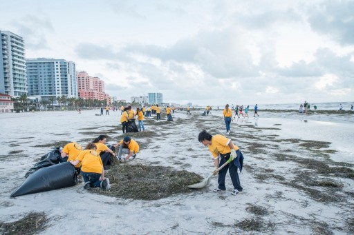 Cleaning Up Clearwater Beach After Hurricane Irma