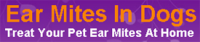 Ear-Mites-In-Dogs.com