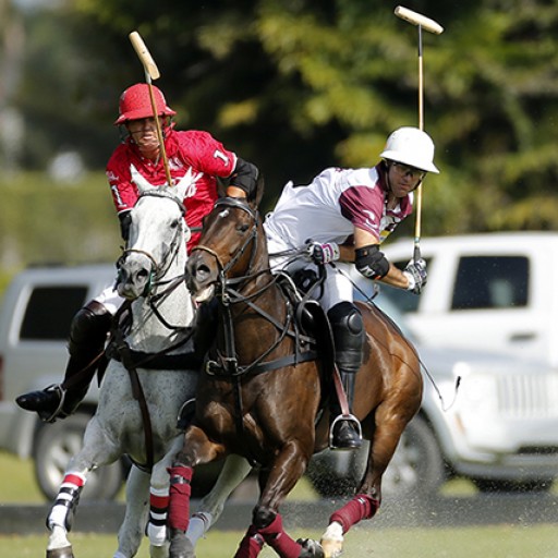 Inaugural Gauntlet of Polo™ Events Begin February 14 in Wellington, Florida