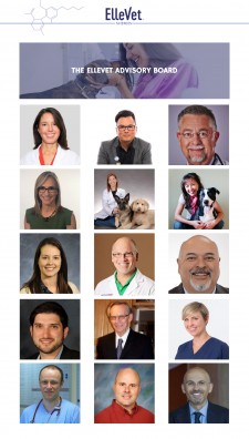 Top Veterinarians Named to ElleVet Advisory Board