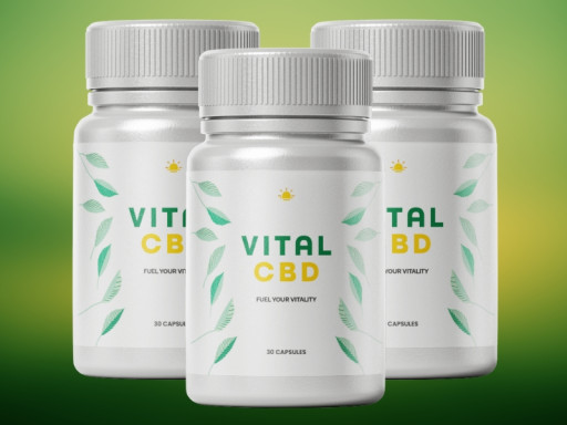 Vital CBD 2025 Review: Top Clean-Label CBD for Balance