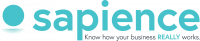 Sapience Analytics