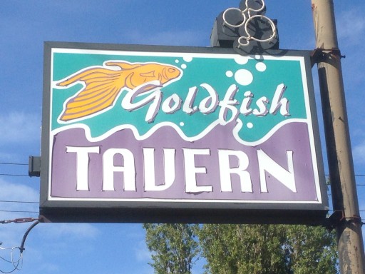 Let's Re-Open the Goldfish Tavern Together