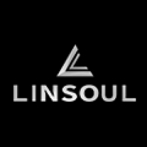 LINSOUL INC