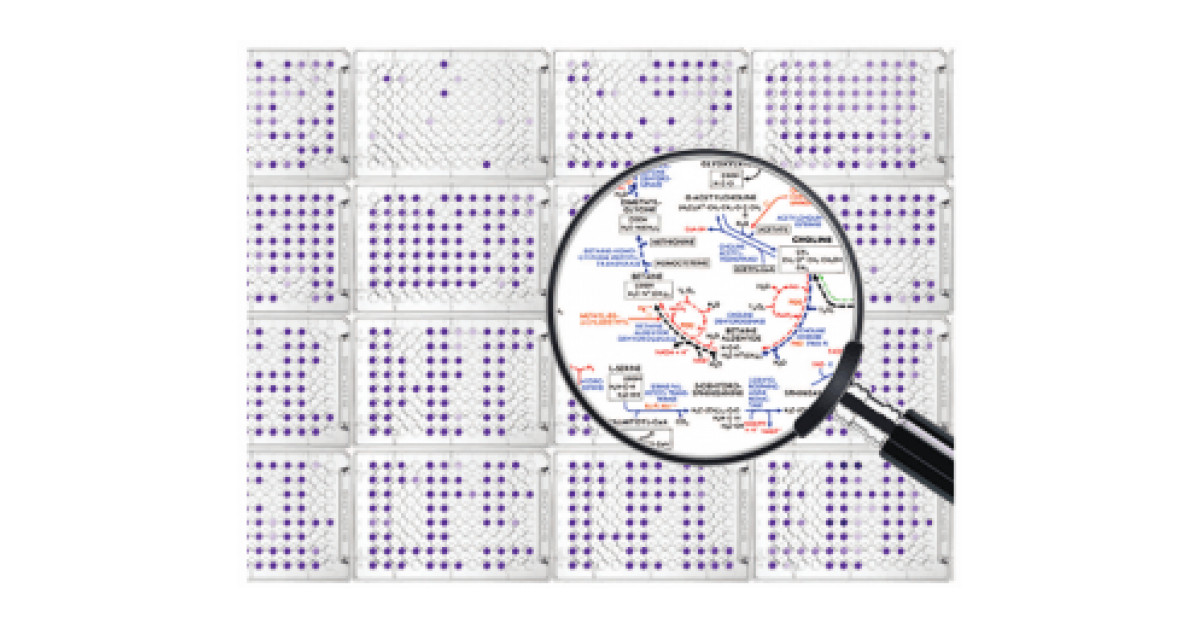 Biolog Responds to Customer Demands for Custom Phenotype MicroArrays ...